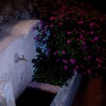 "LA MACIANA" DE CRISTIAN OLIVER CELDA