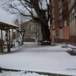 "GLORIETA" DE ENRIQUE MAÑES PÉREZ