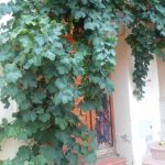 "UNA MÁS DE LA FAMILIA" DE ISABEL HERRANZ FLOR