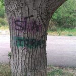 "SIN TÍTULO" DE SERGIO MARTÍN VEGA