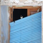 "LLEGA EL VERANO" DE MARISI SALVADOR HERRAIZ