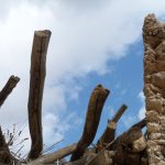 "ARITMÉTICA RURAL" DE ÁNGEL PAREDES ROMERO