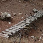 "LA PASARELA" DE LOLI RUBIO ALONSO