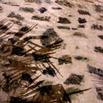 "SOMBRA" DE CARMEN REDÓN RAMOS