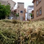 "PAJA" DE JUSTO JIMÉNEZ CELADA