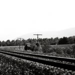 alberto-navarro-cantavella-la_curva