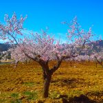 eva-maria-montes-solozabal-los-colores-de-la-tierra
