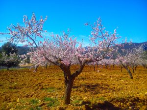 eva-maria-montes-solozabal-los-colores-de-la-tierra