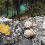 floren herranz lastra marieta marieta