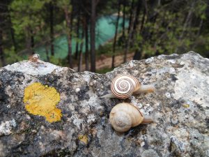 floren herranz lastra marieta marieta