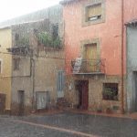 jacinta-flor-flor-lluvia-en-el-alto