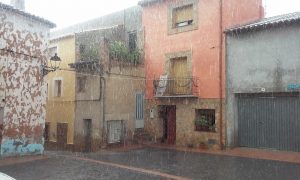 jacinta-flor-flor-lluvia-en-el-alto