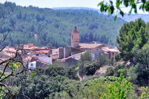 jose-lucas-segarra-gavarri-entre_la_naturaleza