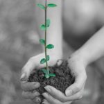 maria-pilar-julian-ruiz-nueva-vida