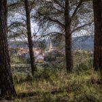 ramón saez carabal las pinadas de Toras