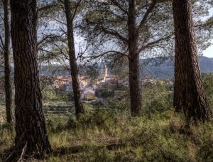 ramón saez carabal las pinadas de Toras