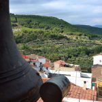 ricardo ferrando soler campana y vida