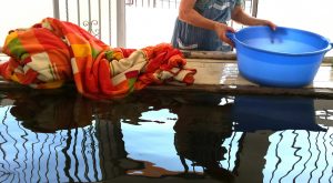 rosa maria pérez ros agua limpia