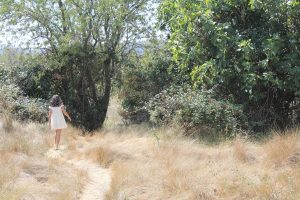 Silvia López Martín Senderos de Torás