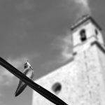 Urbano Suárez-“golondrina”