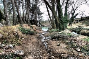 Al final del camino