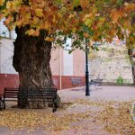 La soledad del otoño