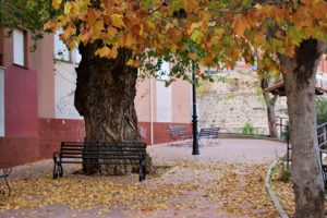 La soledad del otoño