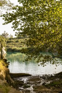 Ventana al Pantano