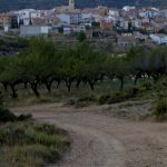 "CAMINO DE TORÁS" DE Mª JESÚS SANCHO GONZÁLEZ