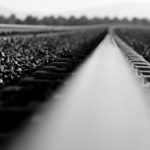 "LA ESTACIÓN SIN ESTANCIA" DE JUAN JOSÉ BARBERÁ IBAÑEZ