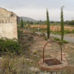 "POZO" DE ROSA Mª PÉREZ ROS