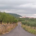 "TORÁS CON OLIVOS Y ALMENDROS" DE JOSÉ Mª CASILLAS GAMITO
