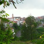 "TORÁS VERDE" DE ROSA MAYORDOMO BUENDÍA