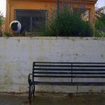 "VIGILANTE" DE VERÓNICA VALERO MARTOS