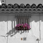 "VENTANA DE FLORES" DE CRISTINA REBOLLO ABRIL