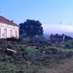 francisco-miras-alcaide-la-estacion-languidece-bajo-la-bruma-y-la-desidia-2c