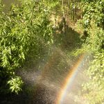 mar-lozano-lorente-arcoiris