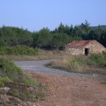 "ANTIGUO CORRAL DE OVEJAS" DE ELENA PUCHADES ALARCÓN