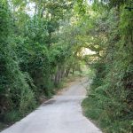 "BARRANCO TROSHONDONERO" DE ESPERANZA ARNAU MAÑES