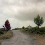 "EL CAMINO" DE BEGOÑA COSÍN MOYA