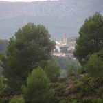 "ENTRE PINOS" DE DAVID RIERA LÓPEZ