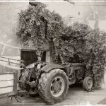 "TRACTOR-PARRA" DE PABLO CORCHADO CIGALA