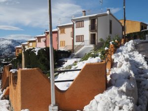 AÑO DE BIENES