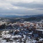 AÑO DE NIEVES