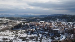 AÑO DE NIEVES