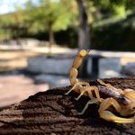 Camarillas también es nuestra ( Respétala )