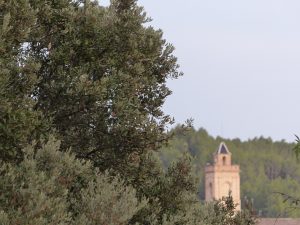 La Torre